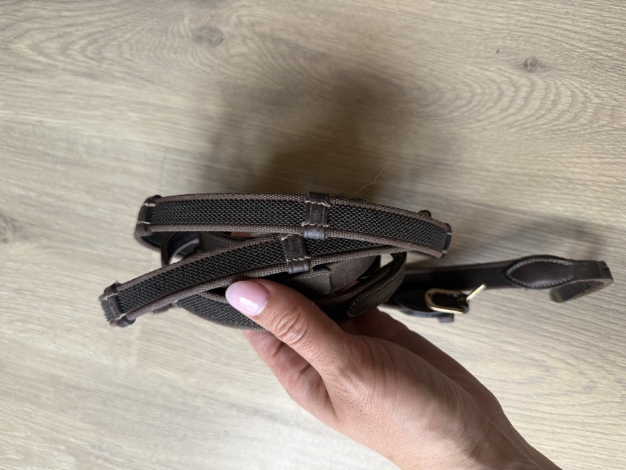 Webbed Jumper Reins