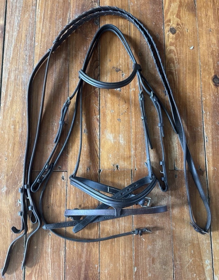 Edgewood flash bridle