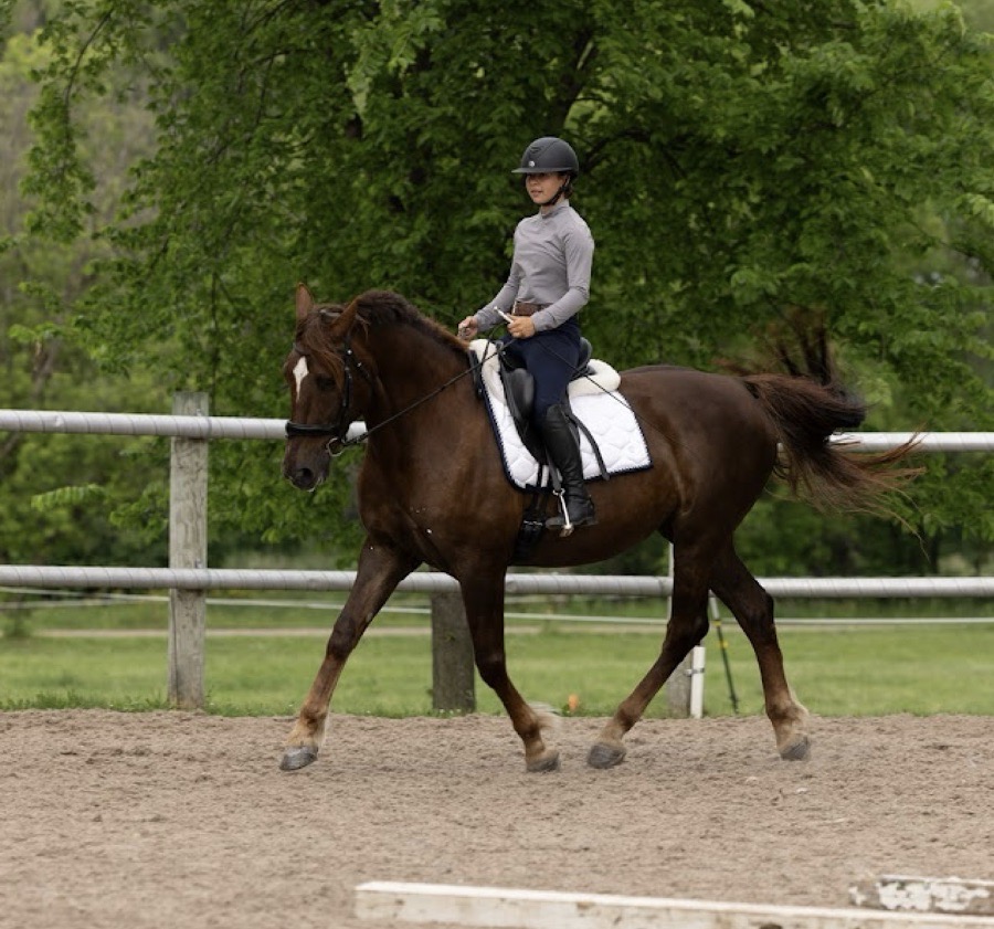 FourFields Lady of Promise