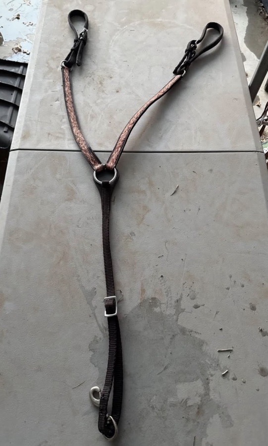 CIRCLE Y Bridle Horse