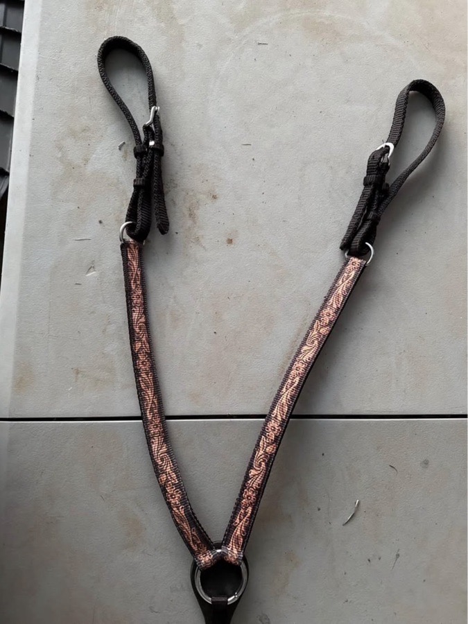 CIRCLE Y Bridle Horse