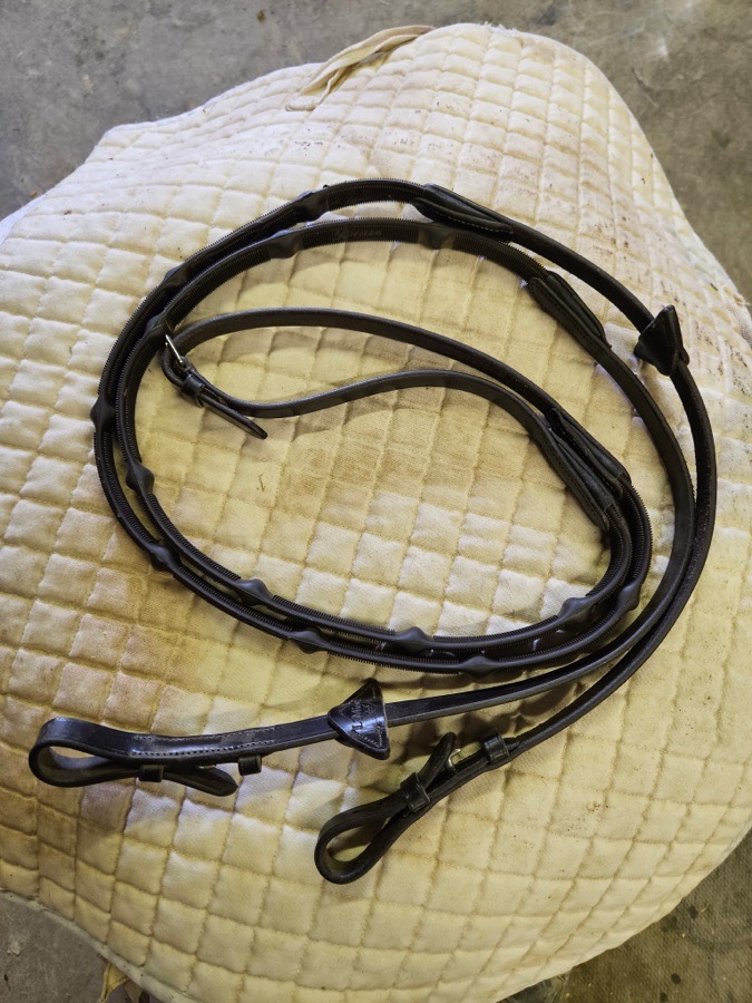 LEMIEUX Reins Horse