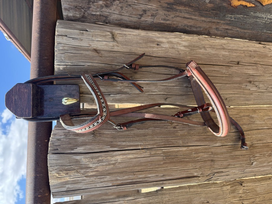 Extra Large Bridle With Beading