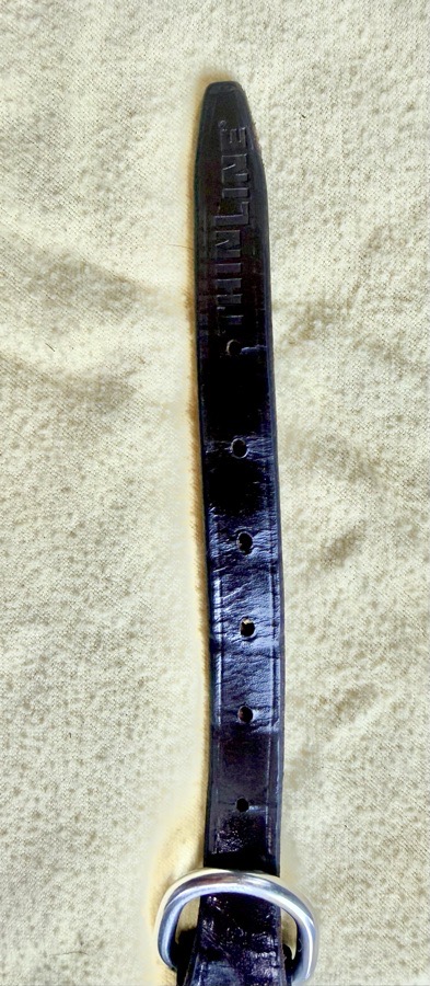 ThinLine EZ Harmony Bitless Noseband