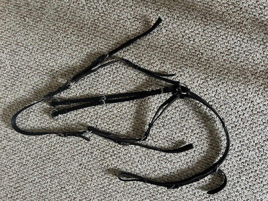 Exion pro running martingale