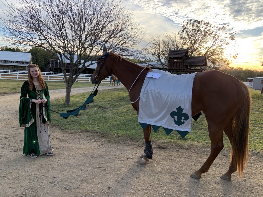 Horse costume