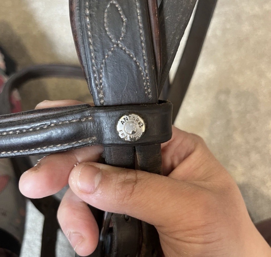 Antares Calfskin Snaffle Bridle