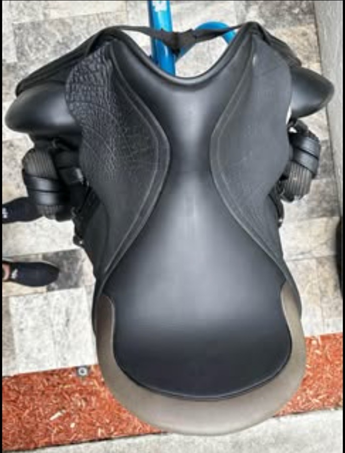 Everest R Saddle- 17.5