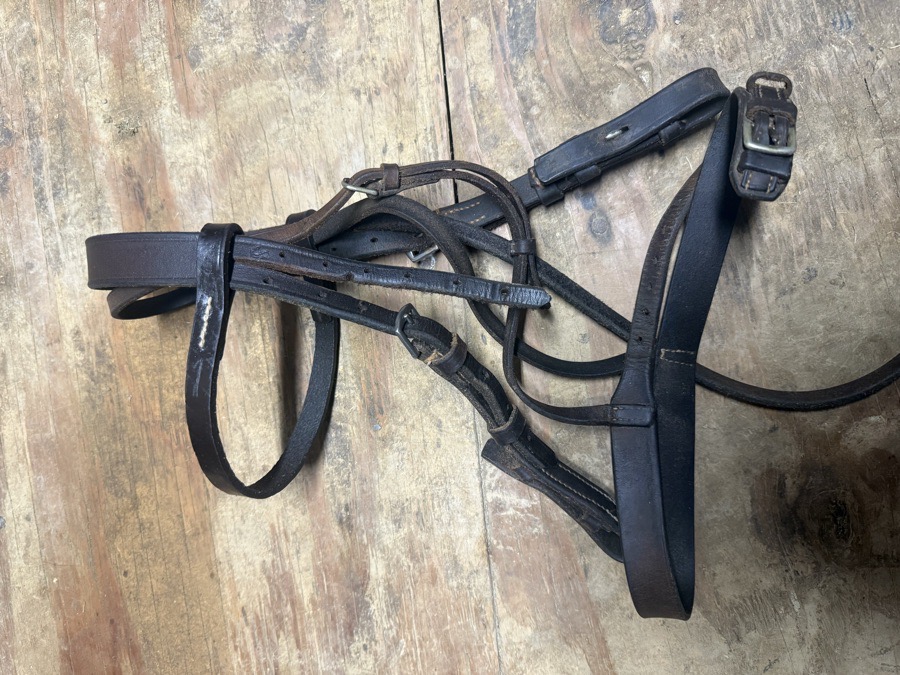 Mini pony bridle
