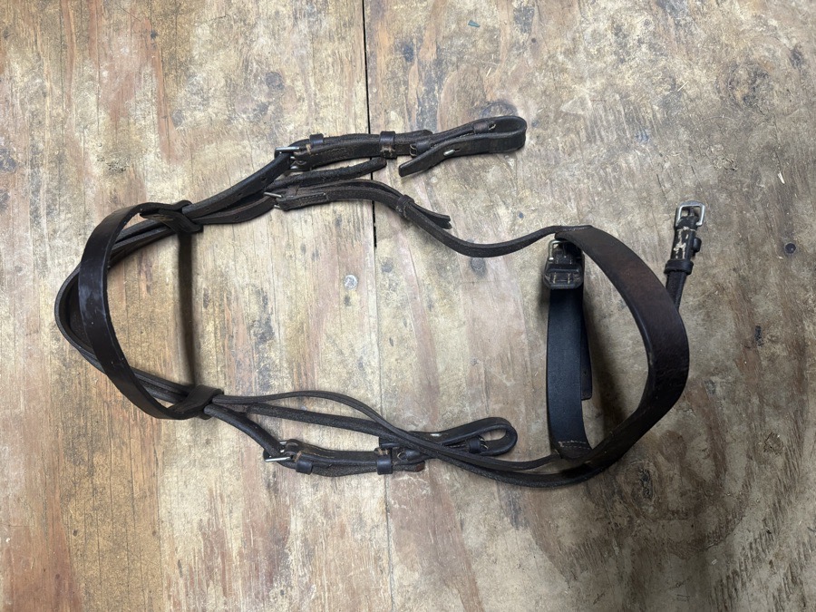 Mini pony bridle