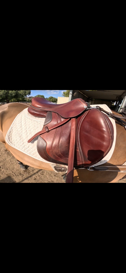 CWD SE01 | 17.5" 3C | 4.25" Tree Size | 2020