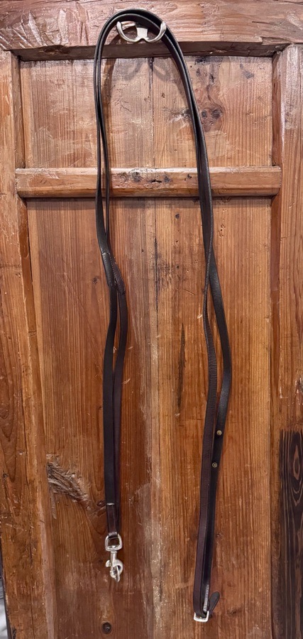OTHER Reins Horse
