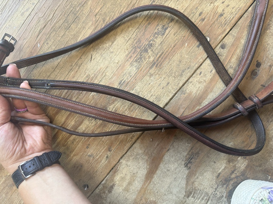 full sized standing martingale