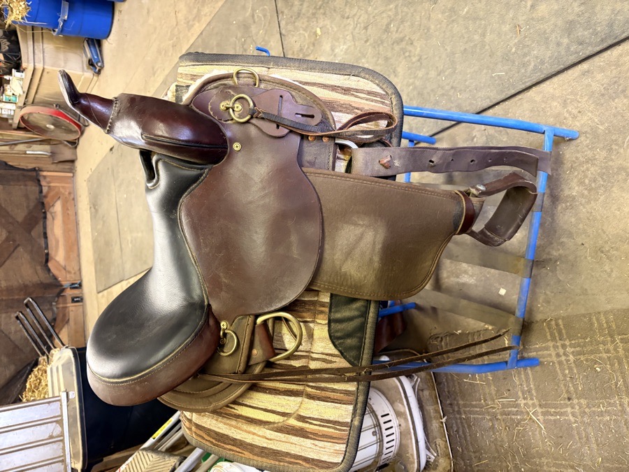 Circle Y Western Trail Saddle 