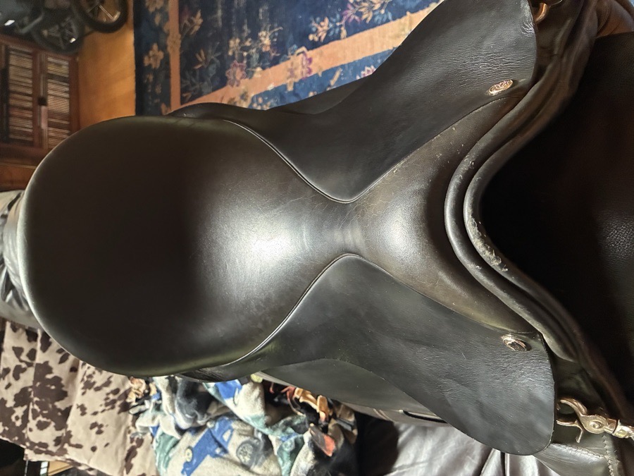 COUNTY | 17.5" | 5.5" Tree Size