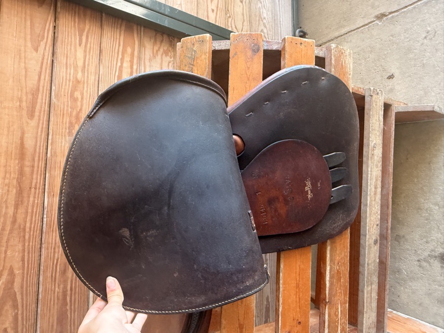 Courbette jump saddle 