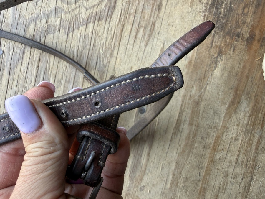 Edgewood pony noseband