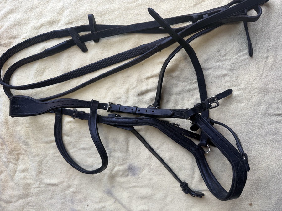 LH Micklem Bridle