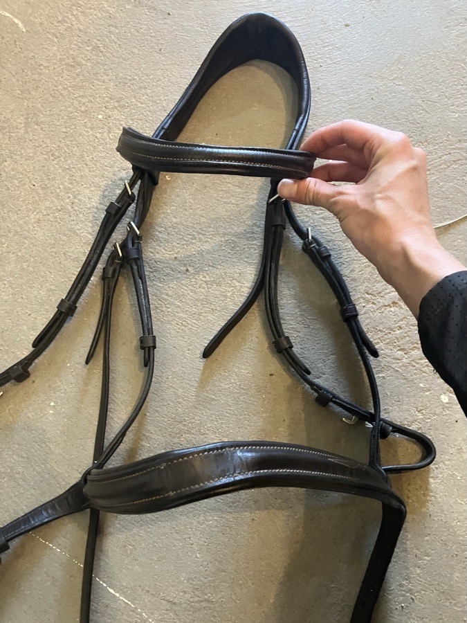 Lumiere Anatomic Monocrown Bridle Horse with flash
