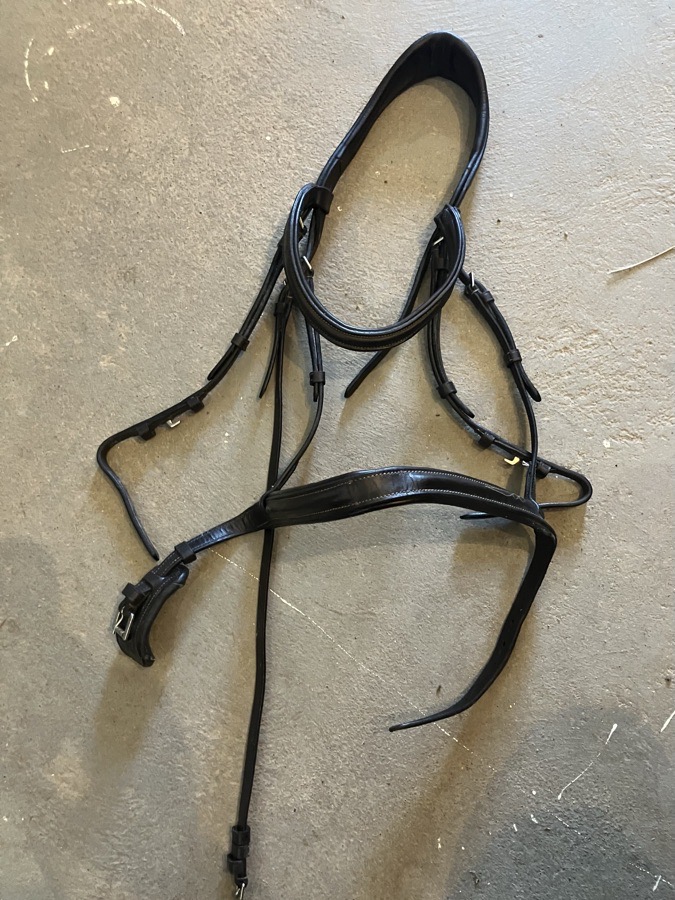 Lumiere Anatomic Monocrown Bridle Horse with flash