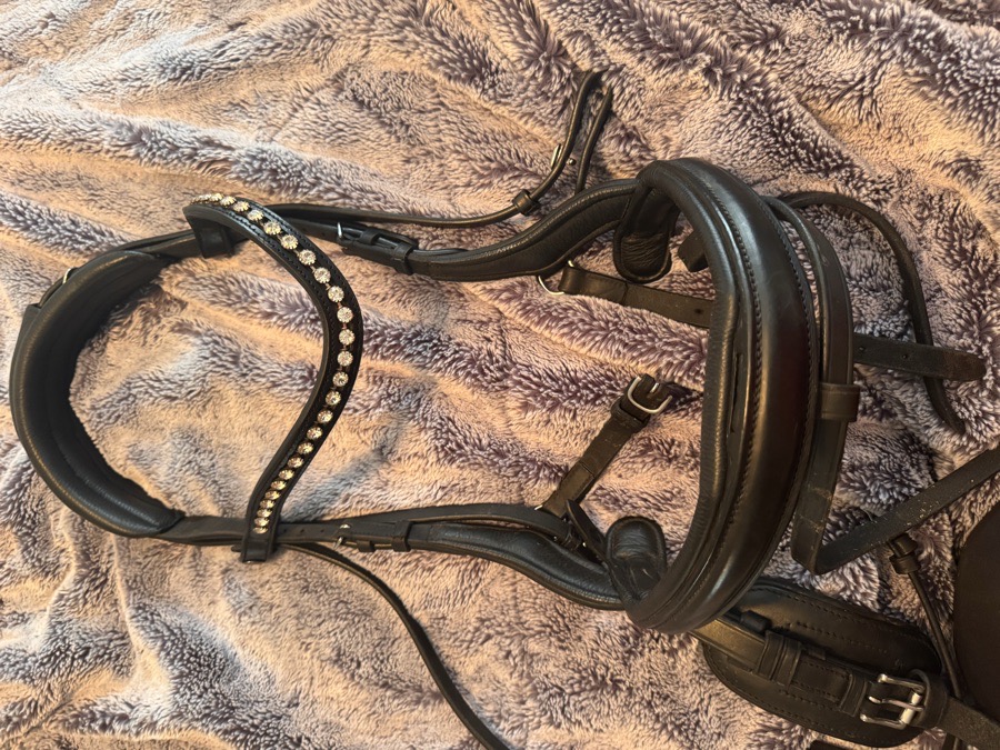 TOTA Bridle Horse