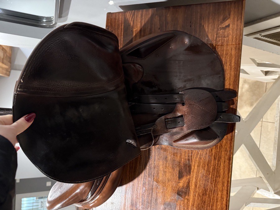 ANTARES Hunter/JumperC2 | 16.5" | 1N Flaps