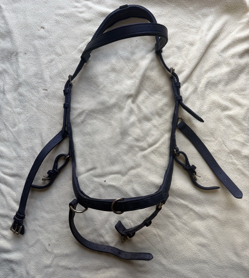 Rambo Original Micklem Multibridle