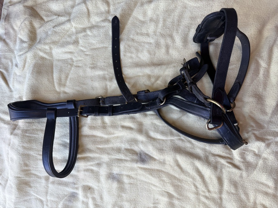 Rambo Original Micklem Multibridle