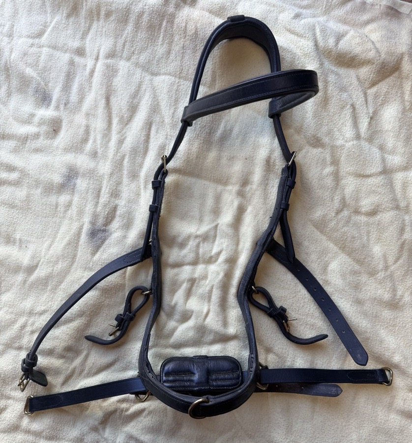 Rambo Original Micklem Multibridle