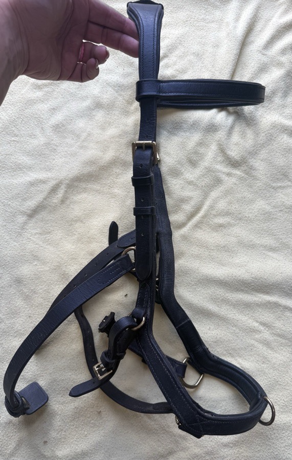 Rambo Original Micklem Multibridle