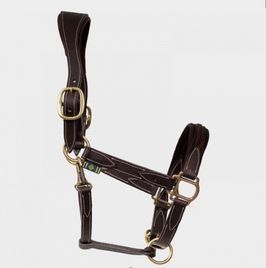 DEVOUCOUX Halter/Rope Horse