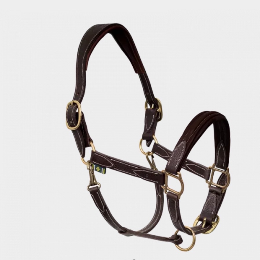 DEVOUCOUX Halter/Rope Horse