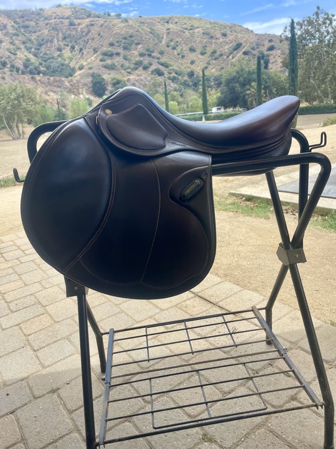 AMERIGO | 17.5" | 4" Tree Size | 2022