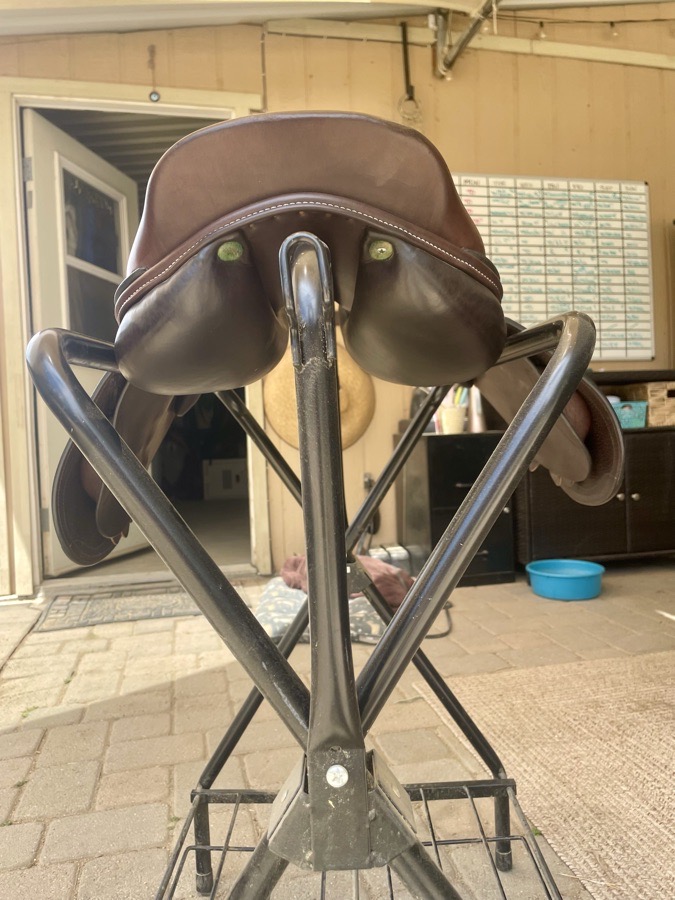 AMERIGO | 17.5" | 4" Tree Size | 2022