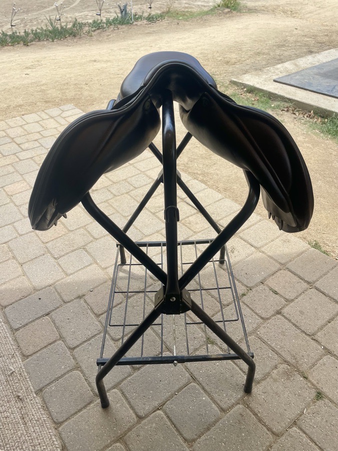 AMERIGO | 17.5" | 4" Tree Size | 2022