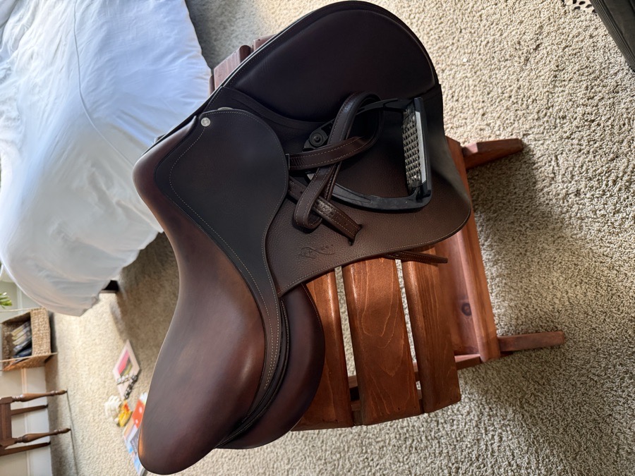 ANTARES Connexion | 17.5" 4 | 5.25" Tree Size | 2017