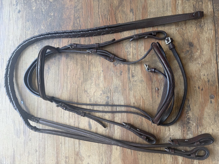fancy stitch cob bridle and reins