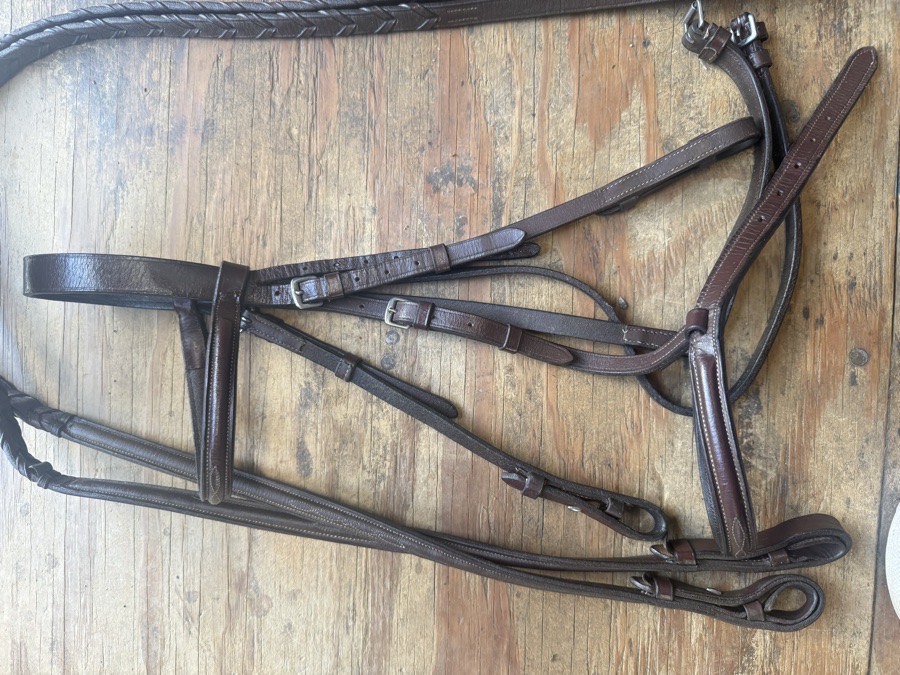 fancy stitch cob bridle and reins