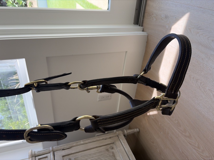 DOVER SADDLERY Halter/Rope Cob