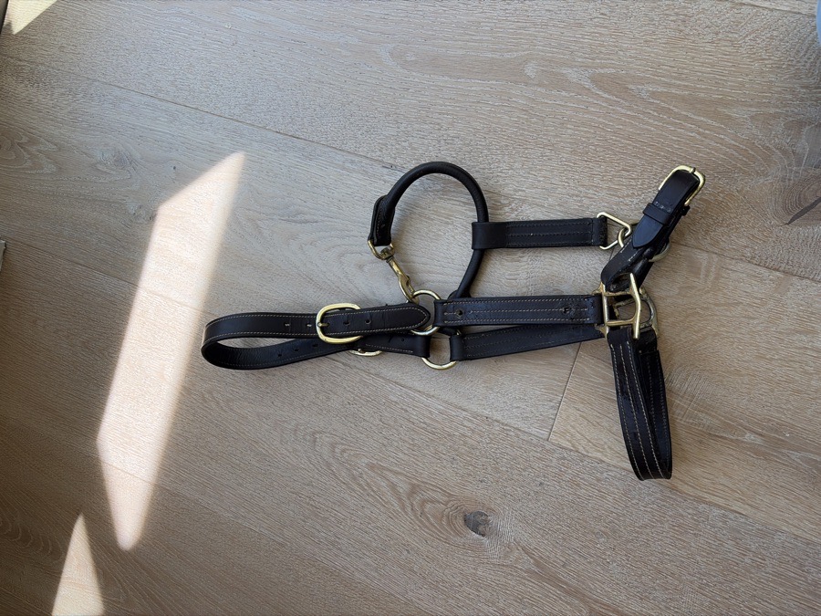 DOVER SADDLERY Halter/Rope Cob