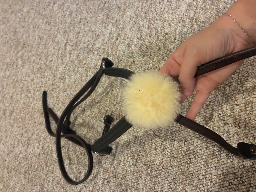 PESSOA figure 8 noseband