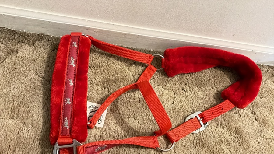 OTHER Halter/Rope Horse