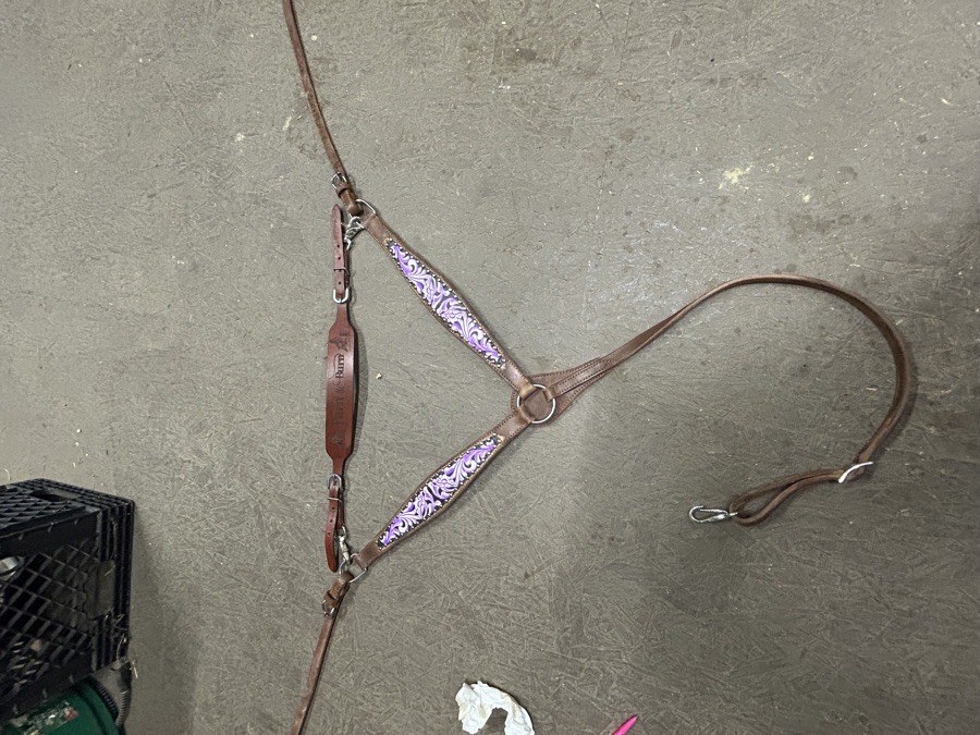 Breastplate w/ wither strap