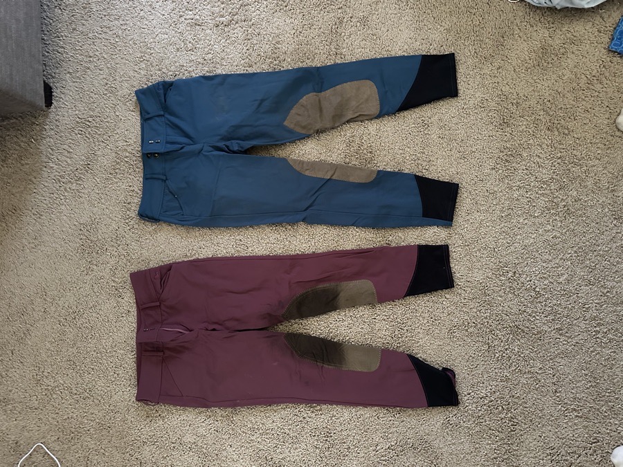 Rj classic breeches