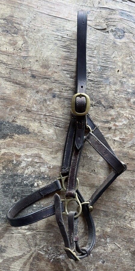 Leather pony halter
