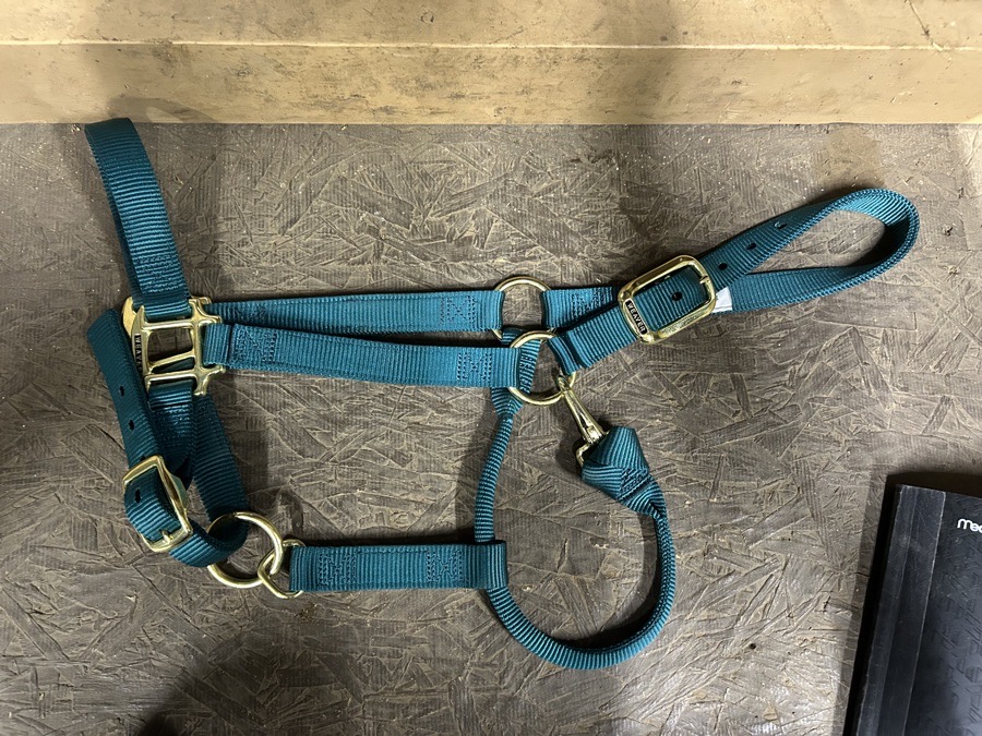 Teal Nylon Halter
