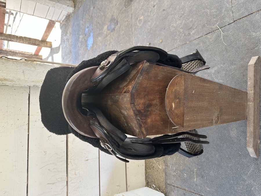 Specialized Saddle - International model