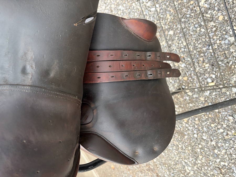 17” Luc Childeric Jump Saddle