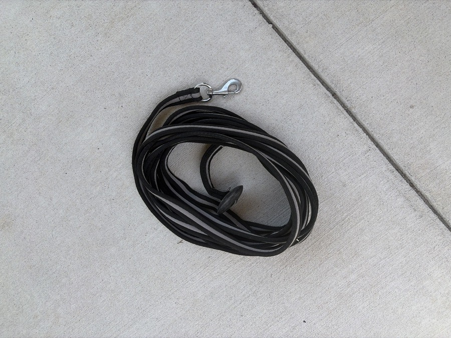 DOVER SADDLERY Lunge line One Size Fits All