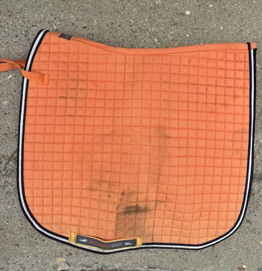 Schockemohle Dressage Saddle Pad